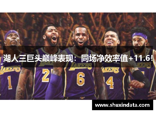 湖人三巨头巅峰表现：同场净效率值+11.6！